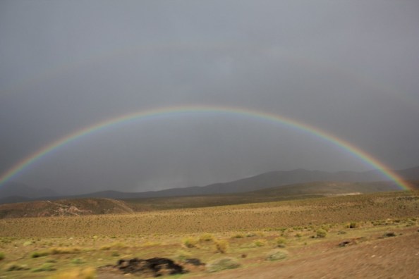 6873061677_119c94482f_b