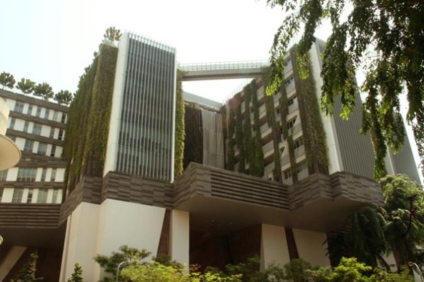 Singapore School of Arts